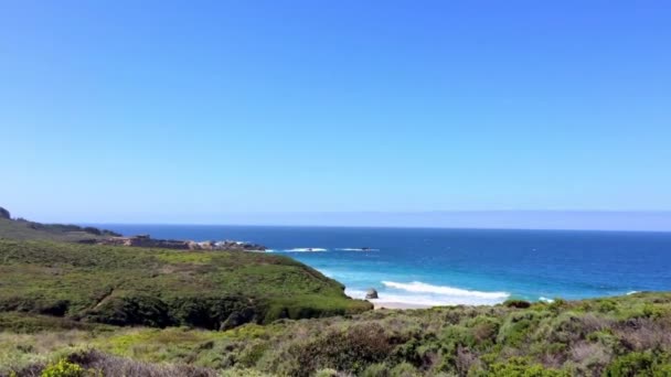 Ειρηνικός Ωκεανός Στην Περιοχή Big Sur Calla Lilly Valley Καλιφόρνια — Αρχείο Βίντεο