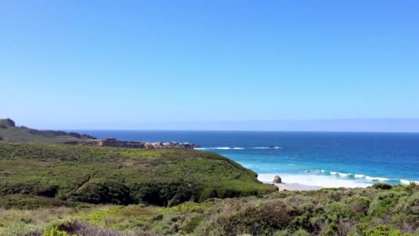Ocean Spokojny Obszarze Big Sur Calla Lilly Valley Kalifornia Usa — Wideo stockowe