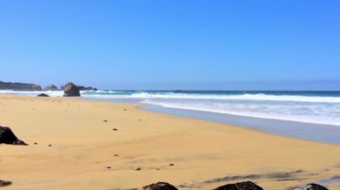 Pasifik Okyanusu Garrapata Eyalet Parkı 'nda Kaliforniya' nın merkez kıyısı boyunca, ABD, 2018