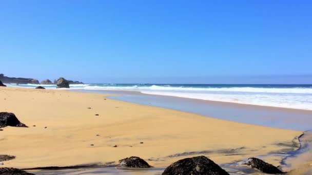 Oceano Pacifico Garrapata State Park Lungo Costa Centrale Della California — Video Stock