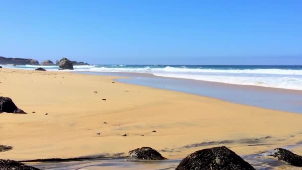 Stilla Havet Vid Garrapata State Park Längs Kaliforniens Centralkust Usa — Stockvideo