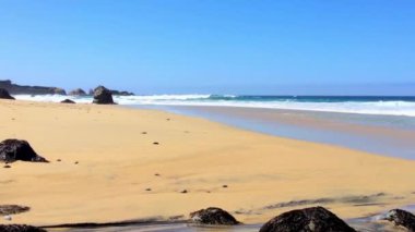 Pasifik Okyanusu Garrapata Eyalet Parkı 'nda Kaliforniya' nın merkez kıyısı boyunca, ABD, 2018