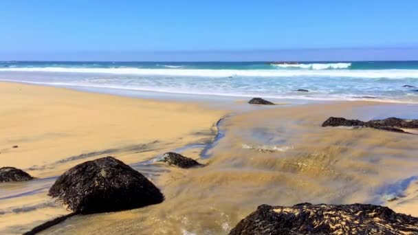 Stilla Havet Vid Garrapata State Park Längs Kaliforniens Centralkust Usa — Stockvideo