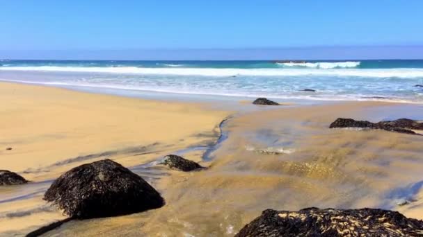 Stilla Havet Vid Garrapata State Park Längs Kaliforniens Centralkust Usa — Stockvideo