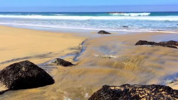 Pasifik Okyanusu Garrapata Eyalet Parkı Nda Kaliforniya Nın Merkez Kıyısı — Stok video