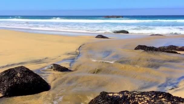 Pacific Ocean Garrapata State Park California Central Coast Usa 2018 — Stock video