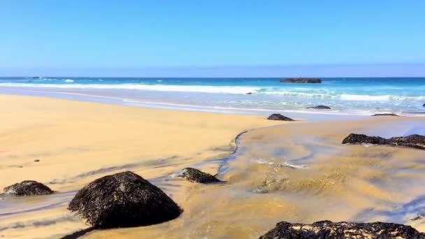 Oceano Pacífico Garrapata State Park Longo Costa Central Califórnia Eua — Vídeo de Stock