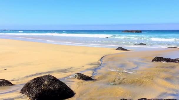 Oceano Pacífico Garrapata State Park Longo Costa Central Califórnia Eua — Vídeo de Stock