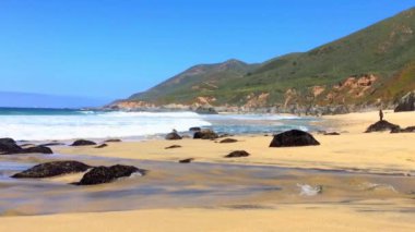 Pasifik Okyanusu Garrapata Eyalet Parkı 'nda Kaliforniya' nın merkez kıyısı boyunca, ABD, 2018