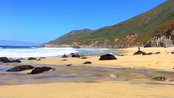 Oceano Pacifico Garrapata State Park Lungo Costa Centrale Della California — Video Stock