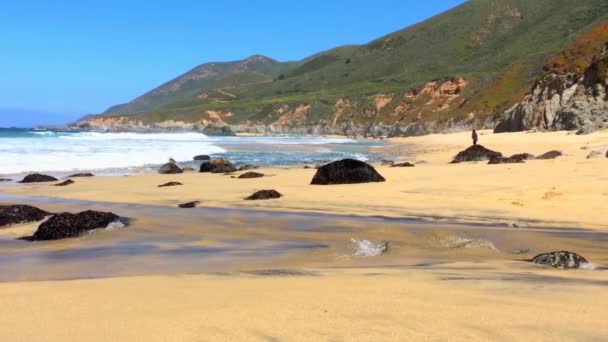 Stilla Havet Vid Garrapata State Park Längs Kaliforniens Centralkust Usa — Stockvideo