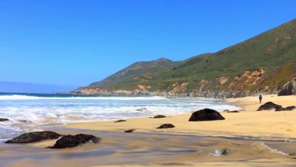 Stilla Havet Vid Garrapata State Park Längs Kaliforniens Centralkust Usa — Stockvideo