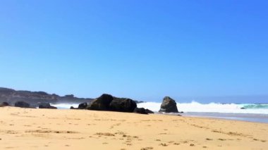 Pasifik Okyanusu Garrapata Eyalet Parkı 'nda Kaliforniya' nın merkez kıyısı boyunca, ABD, 2018