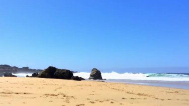 Pasifik Okyanusu Garrapata Eyalet Parkı 'nda Kaliforniya' nın merkez kıyısı boyunca, ABD, 2018