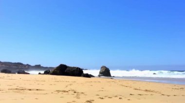 Pasifik Okyanusu Garrapata Eyalet Parkı 'nda Kaliforniya' nın merkez kıyısı boyunca, ABD, 2018