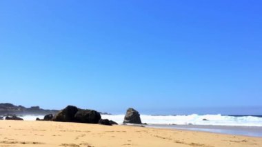 Pasifik Okyanusu Garrapata Eyalet Parkı 'nda Kaliforniya' nın merkez kıyısı boyunca, ABD, 2018