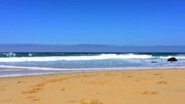 Pasifik Okyanusu Garrapata Eyalet Parkı 'nda Kaliforniya' nın merkez kıyısı boyunca, ABD, 2018