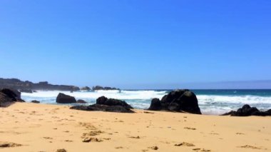 Pasifik Okyanusu Garrapata Eyalet Parkı 'nda Kaliforniya' nın merkez kıyısı boyunca, ABD, 2018