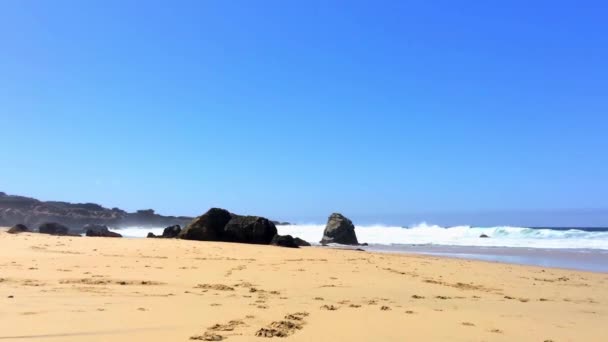 Océan Pacifique Garrapata State Park Long Côte Centrale Californie États — Video