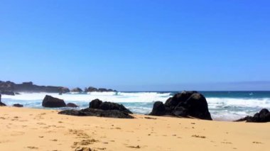 Pasifik Okyanusu Garrapata Eyalet Parkı 'nda Kaliforniya' nın merkez kıyısı boyunca, ABD, 2018