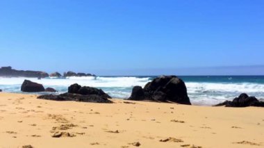 Pasifik Okyanusu Garrapata Eyalet Parkı 'nda Kaliforniya' nın merkez kıyısı boyunca, ABD, 2018