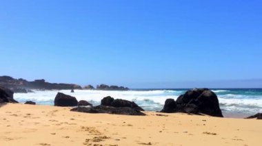 Pasifik Okyanusu Garrapata Eyalet Parkı 'nda Kaliforniya' nın merkez kıyısı boyunca, ABD, 2018