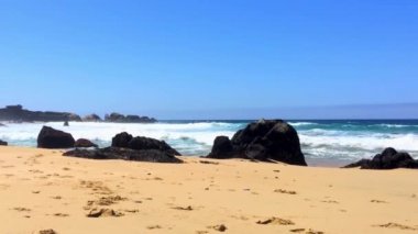 Pasifik Okyanusu Garrapata Eyalet Parkı 'nda Kaliforniya' nın merkez kıyısı boyunca, ABD, 2018