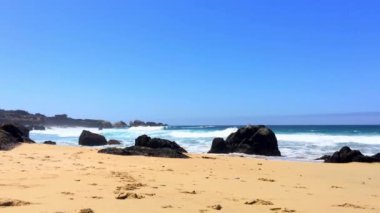 Pasifik Okyanusu Garrapata Eyalet Parkı 'nda Kaliforniya' nın merkez kıyısı boyunca, ABD, 2018