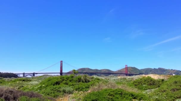米国カリフォルニア州クリシーから見られるゴールデンゲートブリッジ — ストック動画