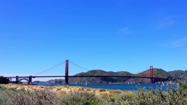 Golden Gate Köprüsü Chrissy California Abd Den Görülmektedir — Stok video