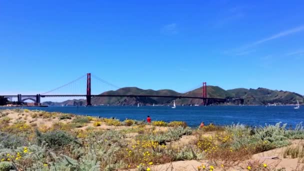 Golden Gate Híd Chrissy Ből Kalifornia Usa — Stock videók