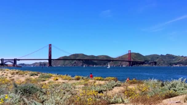 Puente Golden Gate Visto Desde Chrissy California — Vídeos de Stock