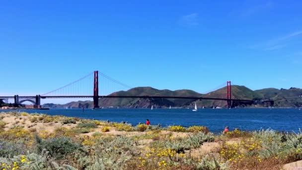 Ponte Golden Gate Vista Chrissy Califórnia Eua — Vídeo de Stock