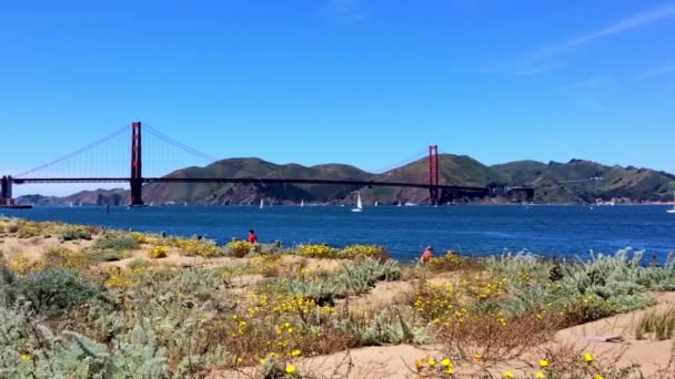 Golden Gate Bridge Von Chrissy Kalifornien Usa Aus Gesehen — Stockvideo