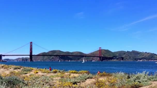 Golden Gate Híd Chrissy Ből Kalifornia Usa — Stock videók