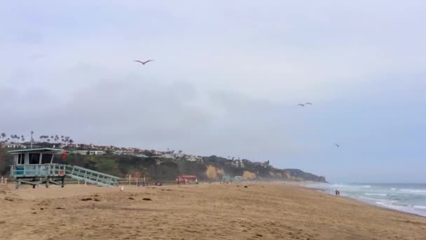 Zuma Beach Malibu Sunset California Usa — стокове відео