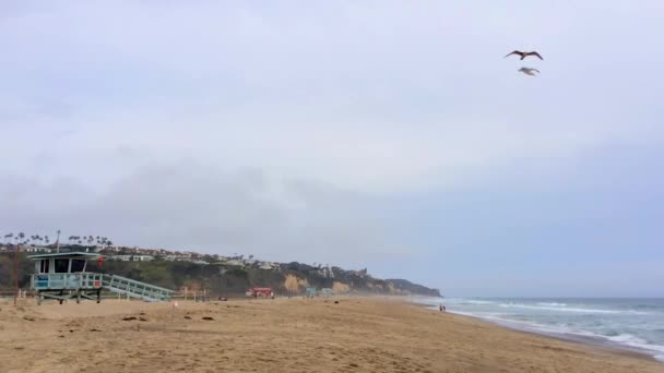 Zuma Beach Malibu Vid Solnedgången Kalifornien Usa — Stockvideo