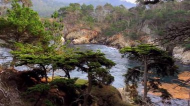 Doğal Rezerv Noktası Lobos, Kaliforniya 'da bir yerde doğa manzarasının büyüleyici görüntüleri.