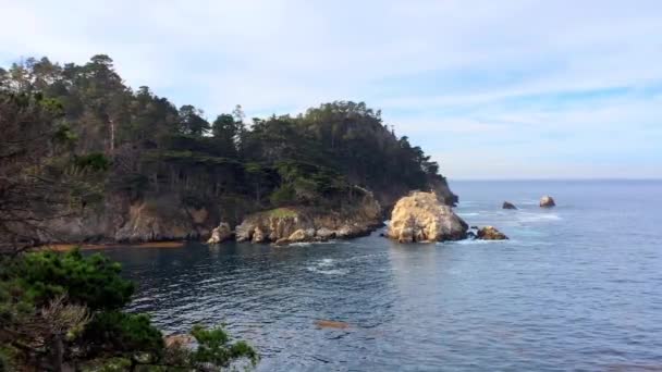 Superbes Images Une Côte Rocheuse State Natural Reserve Point Lobos — Video