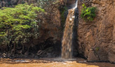 Kenya 'daki Nakuru Gölü Ulusal Parkı' nda Makalia Şelalesi