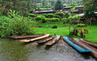 Uganda, Afrika 'daki Bunyonyi Gölü' ndeki geleneksel tekneler, Uganda, Kongo Demokratik Cumhuriyeti ve Ruanda sınırlarında, son dağ gorillerinin yuvası olan Bwindi Ulusal Parkı 'ndan çok uzakta değil.