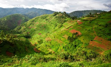 Uganda 'nın güneybatısında, Uganda, Kongo ve Ruanda sınırlarındaki Bwindi Engellenemez Orman Ulusal Parkı' nda manzara. Bwindi Ulusal Parkı dağ gorillerinin evidir..