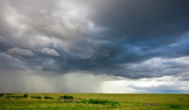 Kenya 'daki Masai Mara Ulusal Parkı' nda Afrika manzarası