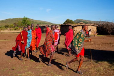15 Ekim 2012 'de Kenya' daki Maasai Mara 'da kimliği belirlenemeyen Masai erkekleri. Masailer, Kenya ve kuzey Tanzanya 'da bulunan yarı göçebe bir etnik gruptur..