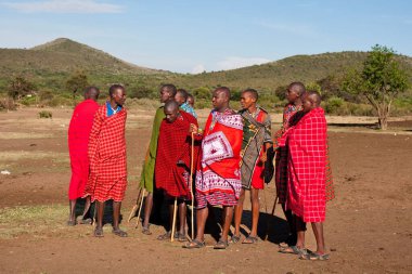 15 Ekim 2012 'de Kenya' daki Maasai Mara 'da kimliği belirlenemeyen Masai erkekleri. Masailer, Kenya ve kuzey Tanzanya 'da bulunan yarı göçebe bir etnik gruptur..
