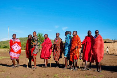 15 Ekim 2012 'de Kenya' daki Maasai Mara 'da kimliği belirlenemeyen Masai erkekleri. Masailer, Kenya ve kuzey Tanzanya 'da bulunan yarı göçebe bir etnik gruptur..