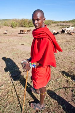 15 Ekim 2012 'de Kenya' daki Maasai Mara 'da kimliği belirlenemeyen Masai erkekleri. Masailer, Kenya ve kuzey Tanzanya 'da bulunan yarı göçebe bir etnik gruptur.