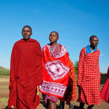 15 Ekim 2012 'de Kenya' daki Maasai Mara 'da kimliği belirlenemeyen Masai erkekleri. Masailer, Kenya ve kuzey Tanzanya 'da bulunan yarı göçebe bir etnik gruptur..