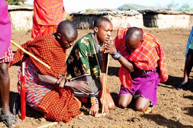 15 Ekim 2012 'de Kenya' daki Maasai Mara 'da kimliği belirlenemeyen Masai erkekleri. Masailer, Kenya ve kuzey Tanzanya 'da bulunan yarı göçebe bir etnik gruptur..