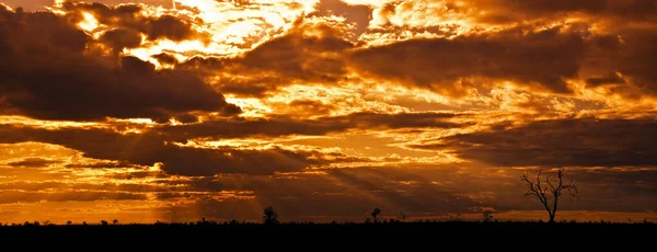 Kruger Ulusal Parkı Güney Afrika Dramatik Bulutlu Afrika Manzarası — Stok fotoğraf